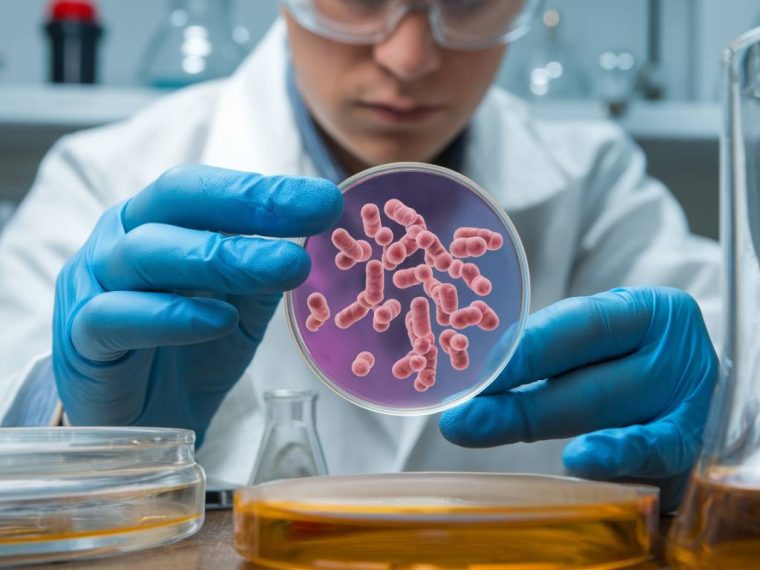 Les effets du CBD sur le microbiote intestinal et leur impact sur la santé