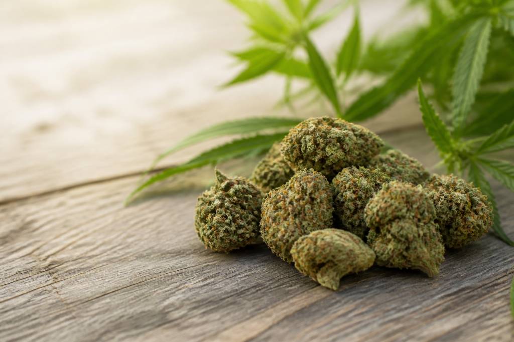 Fleurs de chanvre : guide complet pour bien les choisir et les utiliser