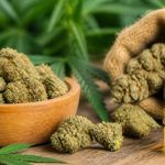 Fleure de chanvre : tout savoir sur ses usages, ses effets et ses critères de qualité