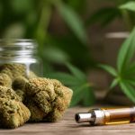 Fleurs de chanvre cbd : guide complet pour bien choisir et utiliser ce produit
