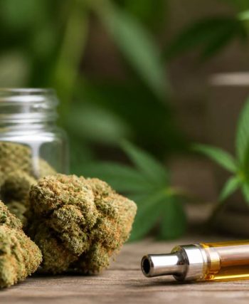 Thcp : effets, usages et points essentiels à connaître