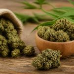 Fleur de chanvre cbd : usages, effets et critères de qualité