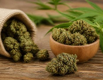 Fleurs de chanvre cbd : guide complet pour bien choisir et utiliser ce produit