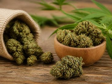 Fleurs de chanvre cbd : guide complet pour bien choisir et utiliser ce produit