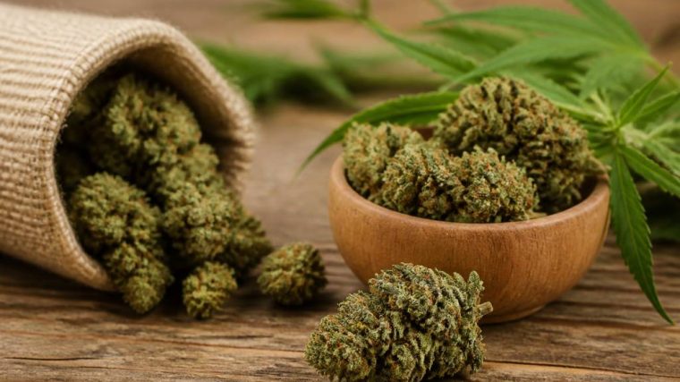 Fleurs de chanvre cbd : guide complet pour bien choisir et utiliser ce produit
