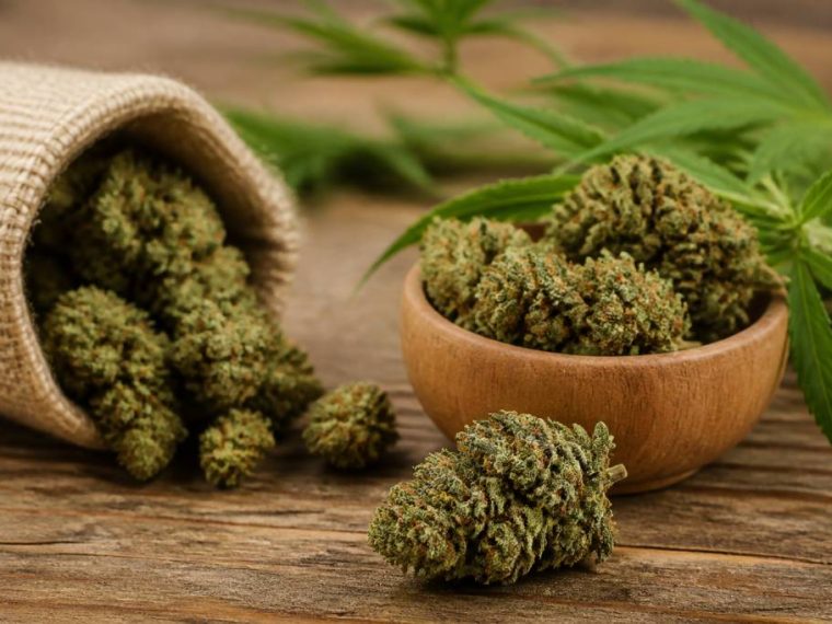 Fleurs de chanvre cbd : guide complet pour bien choisir et utiliser ce produit