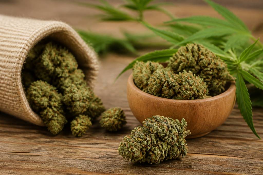 Fleurs de chanvre cbd : guide complet pour bien choisir et utiliser ce produit