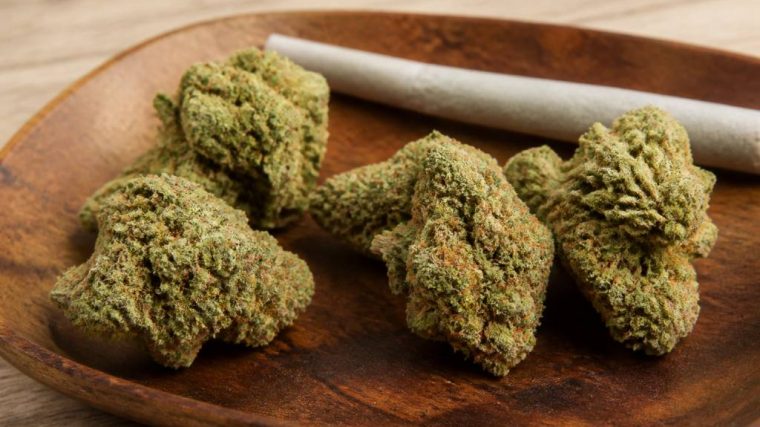 Amnésia haze : effets, caractéristiques et conseils pour bien la choisir