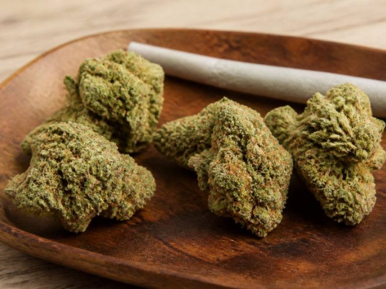 Amnésia haze : effets, caractéristiques et conseils pour bien la choisir
