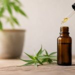 Cbd pour chien : bienfaits, dosage et conseils d’utilisation