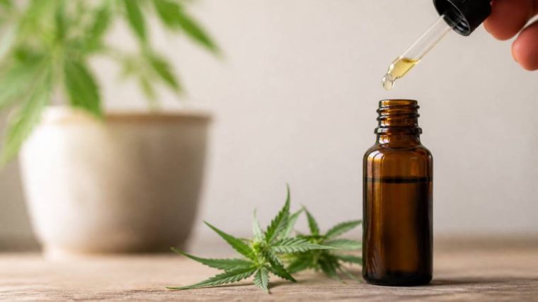 Cbd huile france : guide pour choisir une huile de qualitéTHOOK