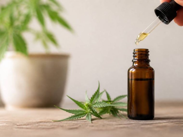 Cbd huile france : guide pour choisir une huile de qualitéTHOOK