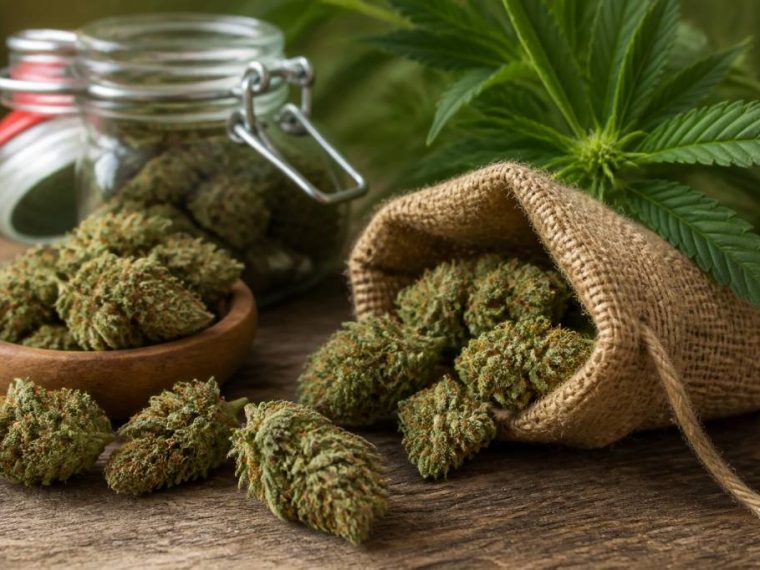 Fleur de canabise : guide complet pour bien la choisir et l’utiliser