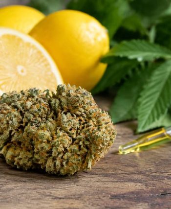 Sour diesel : effets, arômes et conseils pour bien choisir en cbd