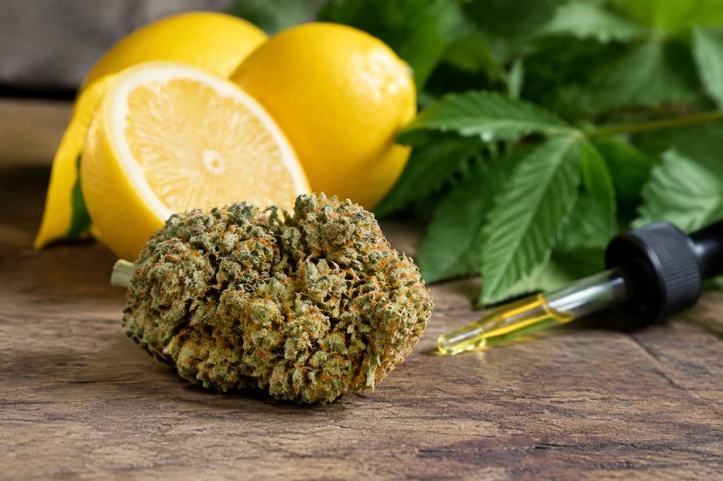 Sour diesel : effets, arômes et conseils pour bien choisir en cbd